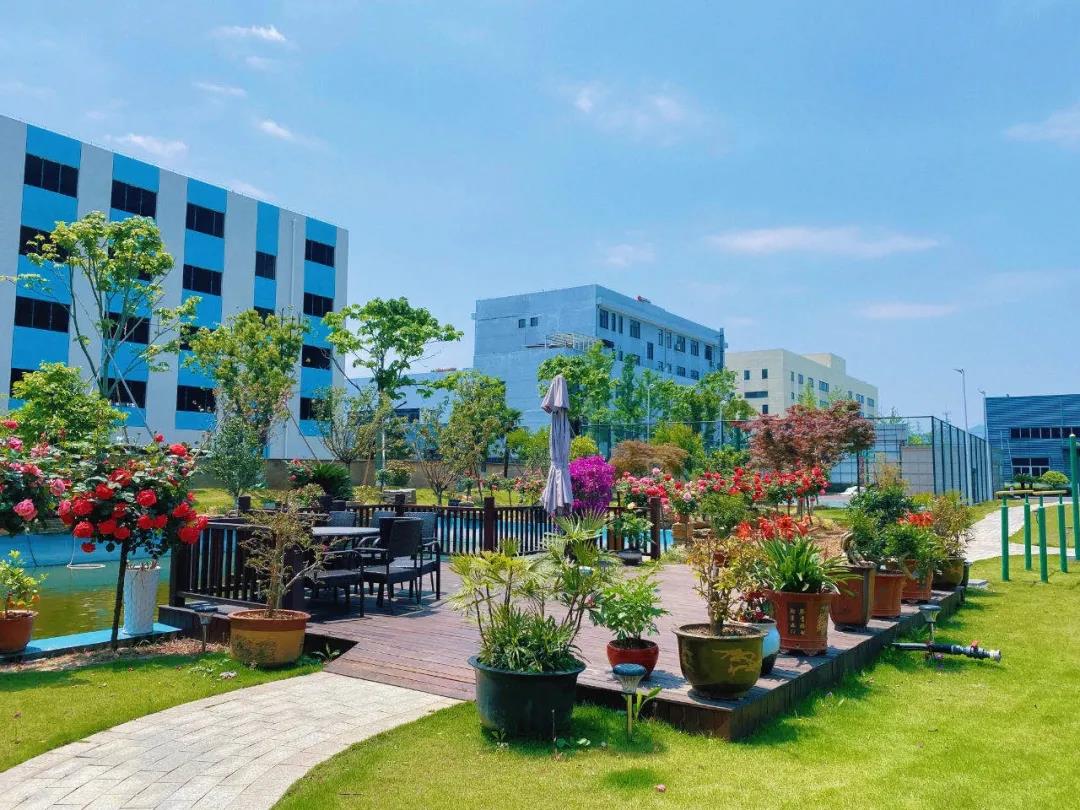 风景这边独好！东大环境美景一览，请查收