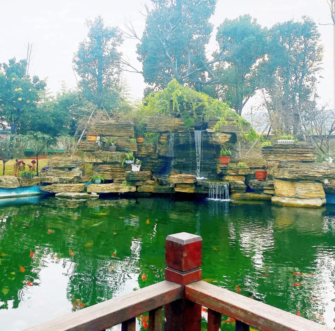 风景这边独好！东大环境美景一览，请查收